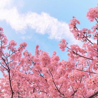 果盘霸业屠龙手游下载